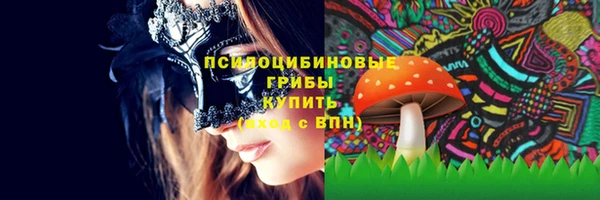 винт Фурманов