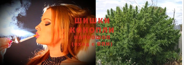 винт Фурманов