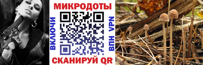 мега tor  где продают наркотики  Чусовой  Псилоцибиновые грибы Cubensis 