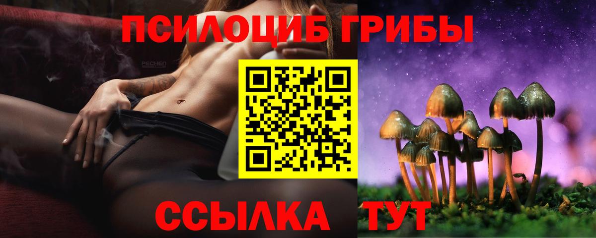 Псилоцибиновые грибы Psilocybe Чусовой