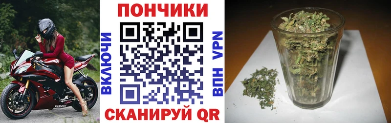 Бошки Шишки Amnesia Чусовой